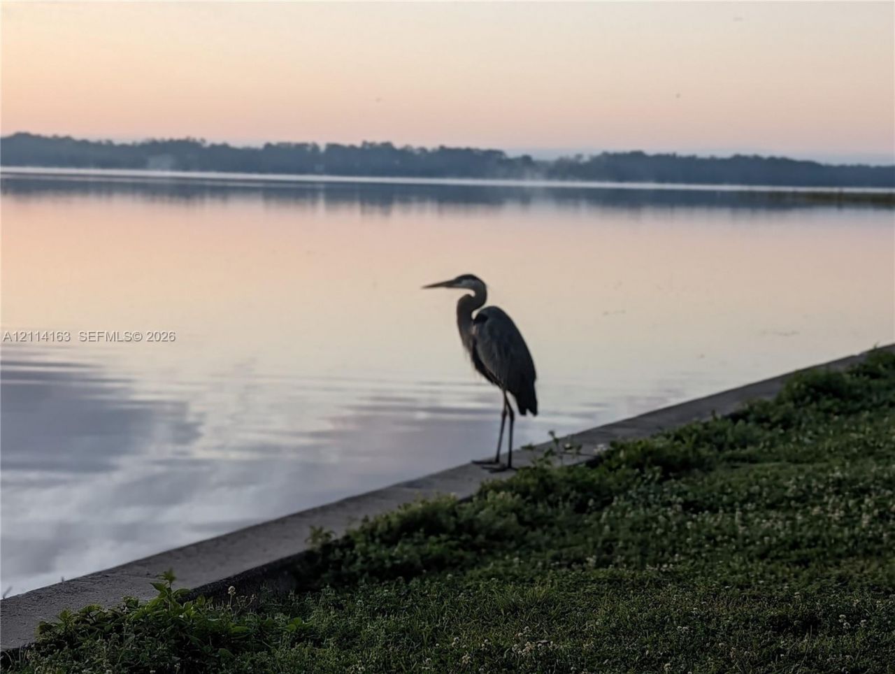 1154 Lagoon Road, Tarpon Springs, FL 34689 Photo