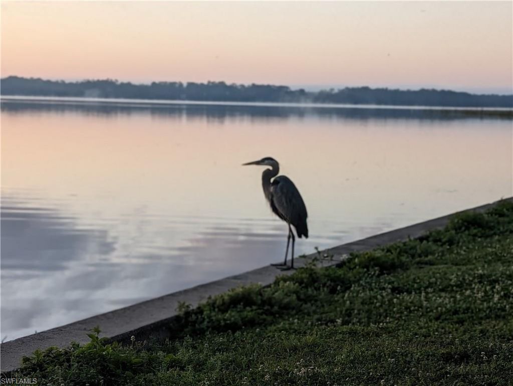 1154 Lagoon Rd , Tarpon Springs, FL 34689 Photo