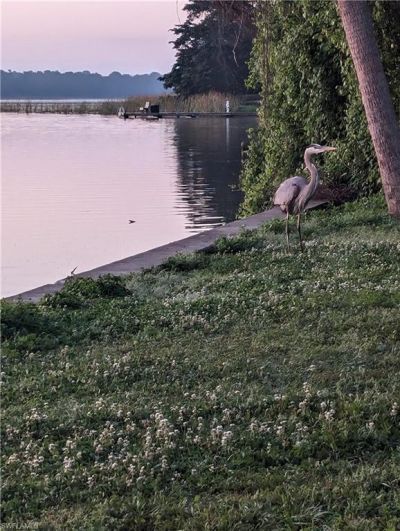 1154 Lagoon Rd , Tarpon Springs, FL 34689 Photo