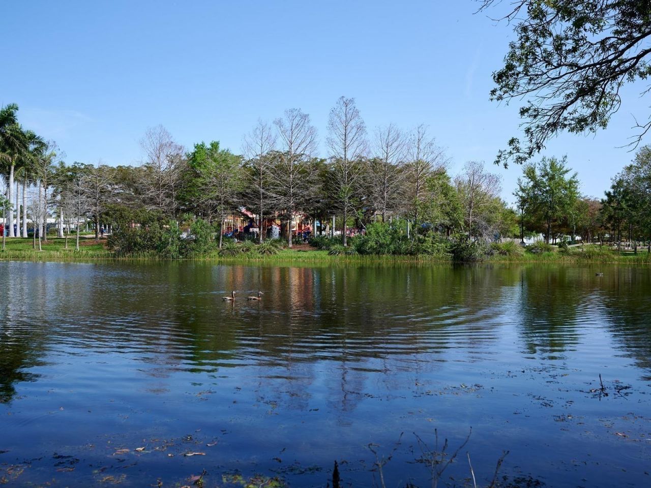 2555 Ruffing Court , Sarasota, FL 34237 Photo