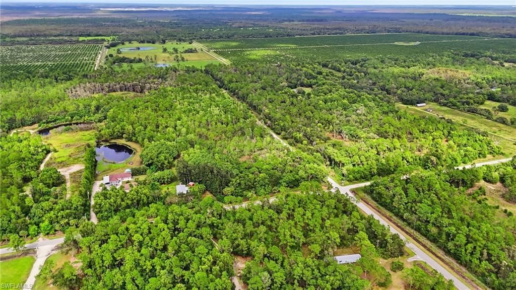 Sanctuary Rd, Naples, FL 34120 Photo