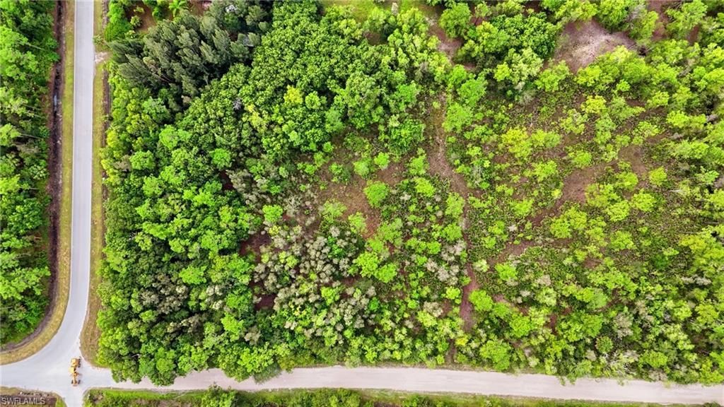Sanctuary Rd, Naples, FL 34120 Photo