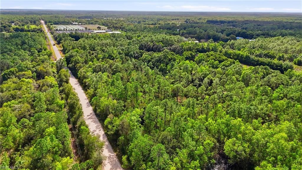 Sanctuary Rd, Naples, FL 34120 Photo