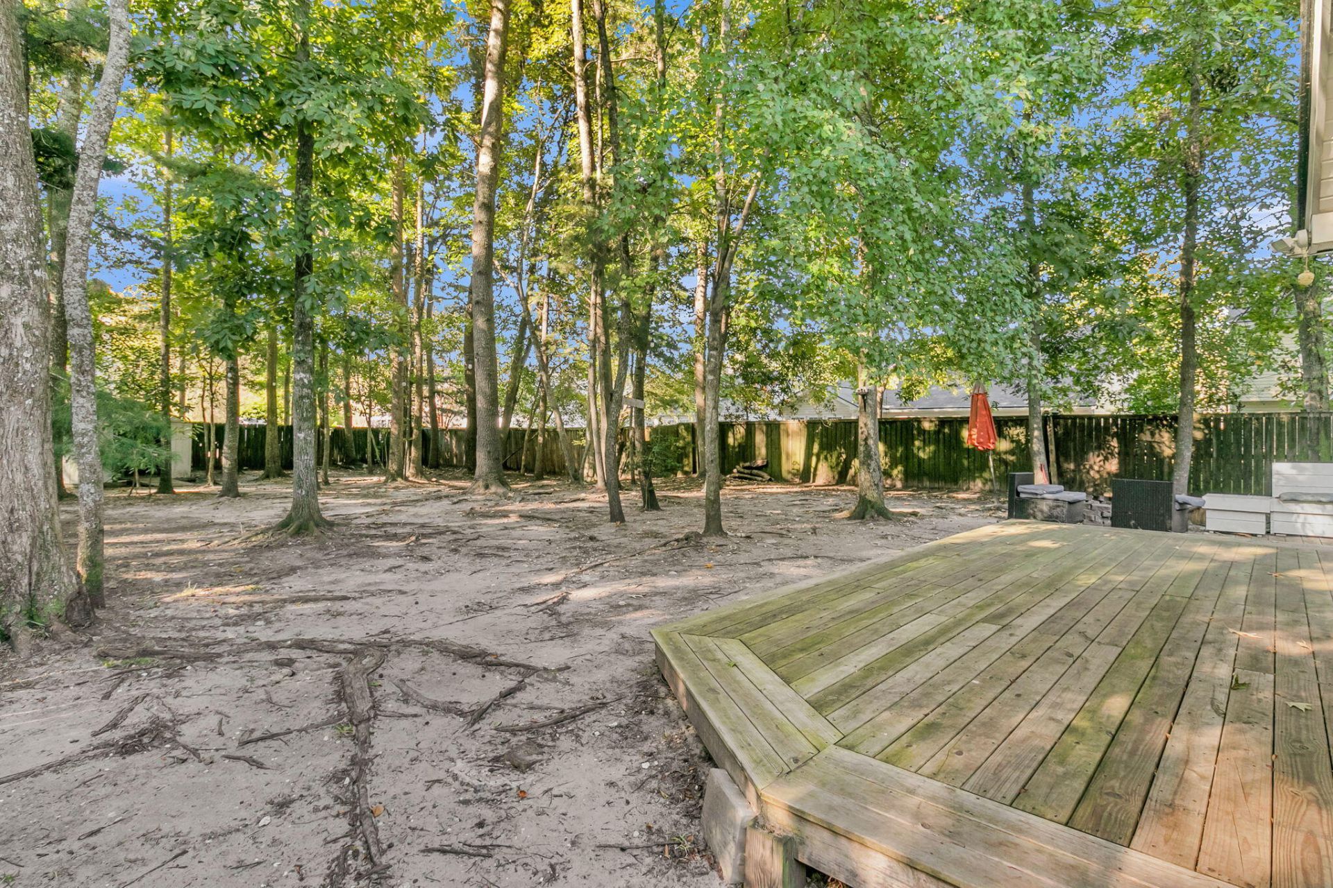 115 Holly Street Photo 21