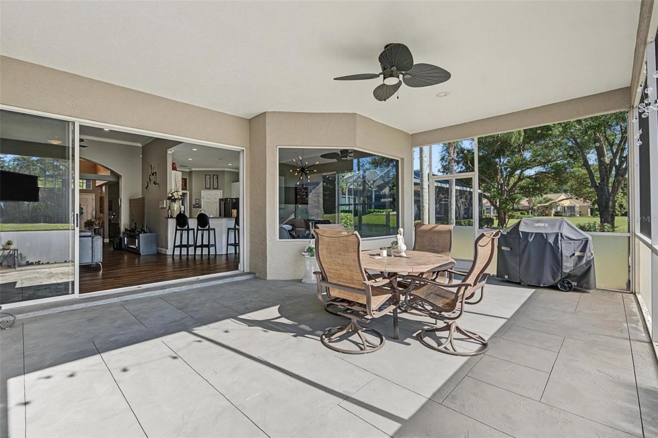 5124 Pinnacle Drive , Oldsmar, FL 34677 Photo