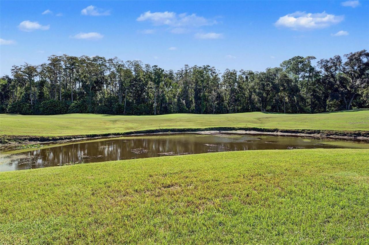 5124 Pinnacle Drive , Oldsmar, FL 34677 Photo