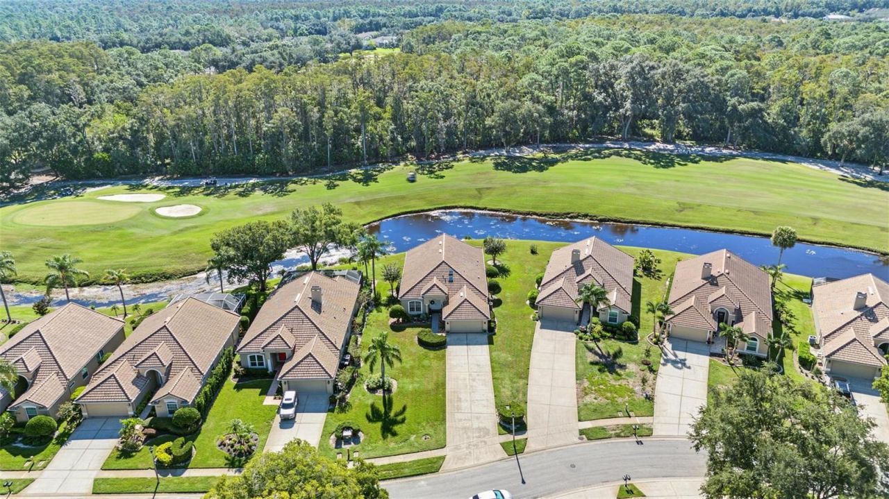 5124 Pinnacle Drive , Oldsmar, FL 34677 Photo