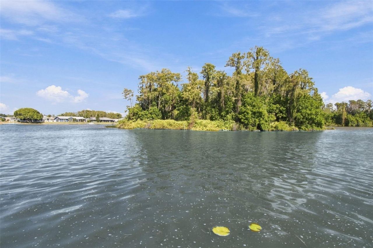 1615 Bunker Hill Drive, Sun City Center, FL 33573 Photo