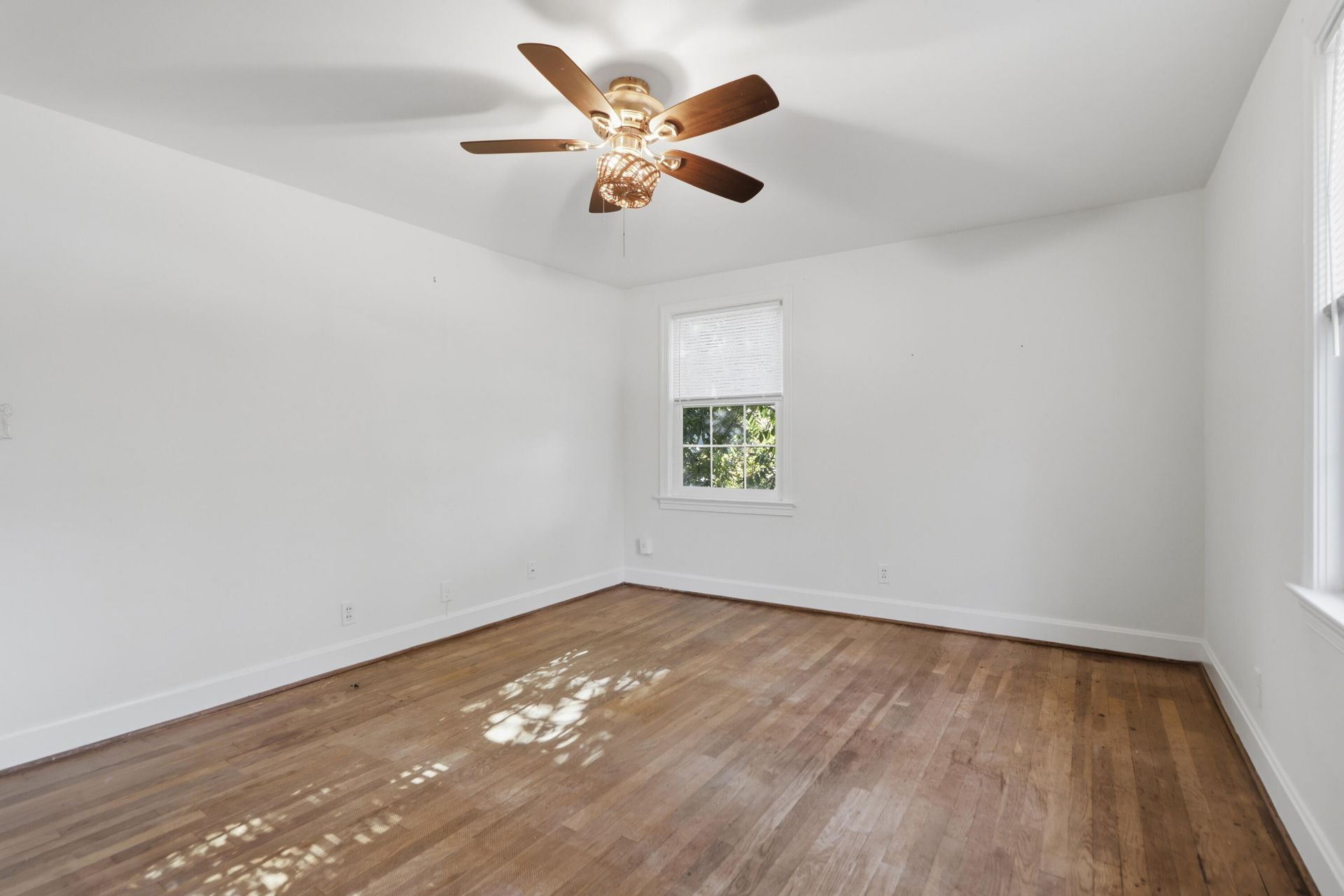 3 Fenwick Drive Photo 40