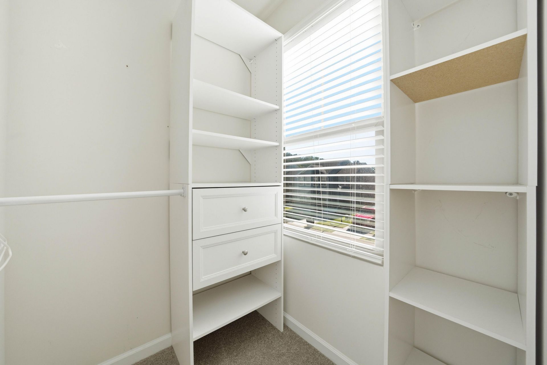 1031 Berry Patch Circle Photo 35