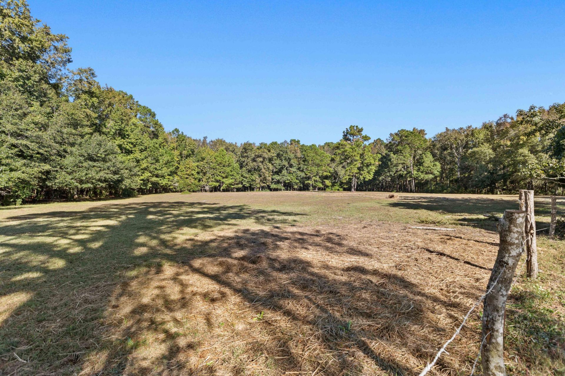 3680 Humbert Road Photo 14