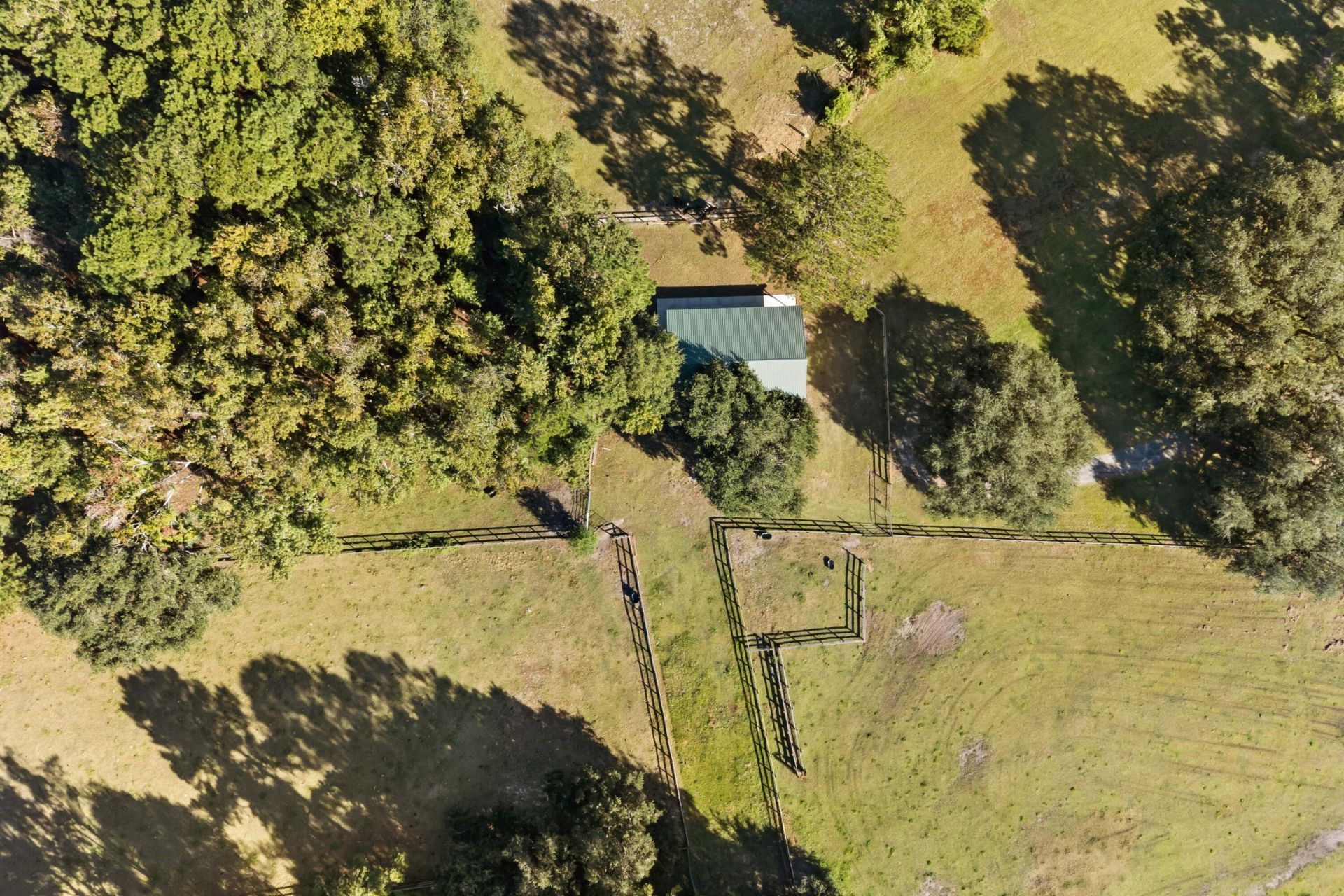 3680 Humbert Road Photo 19