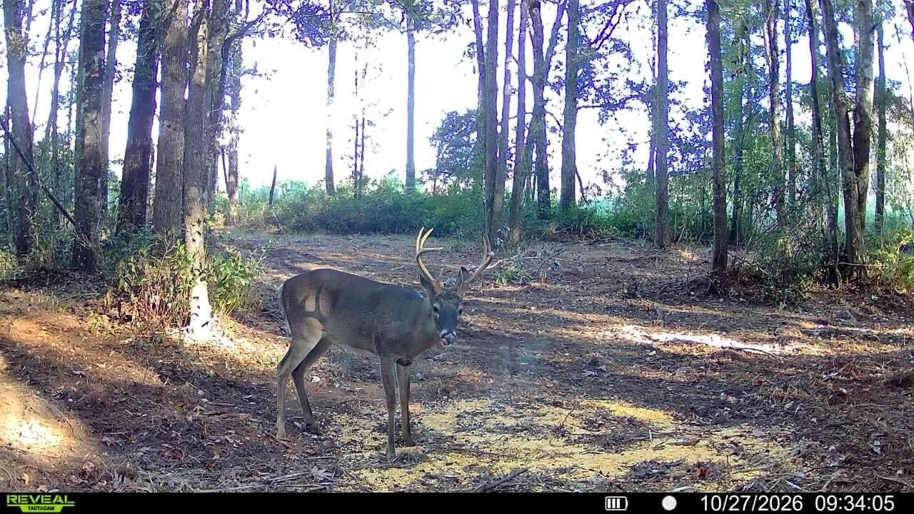 1255 Thirty Five Mile Road Photo 11