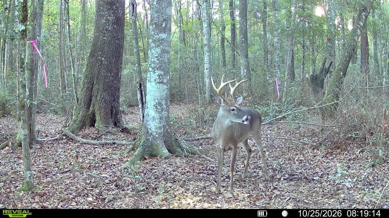 1255 Thirty Five Mile Road Photo 12