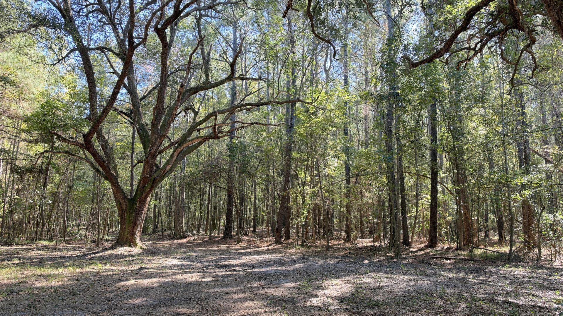 1255 Thirty Five Mile Road Photo 13