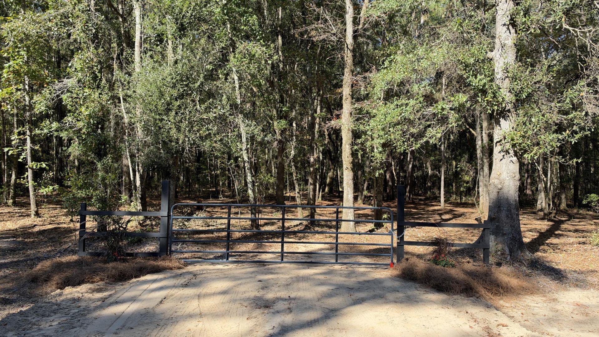1255 Thirty Five Mile Road Photo 14