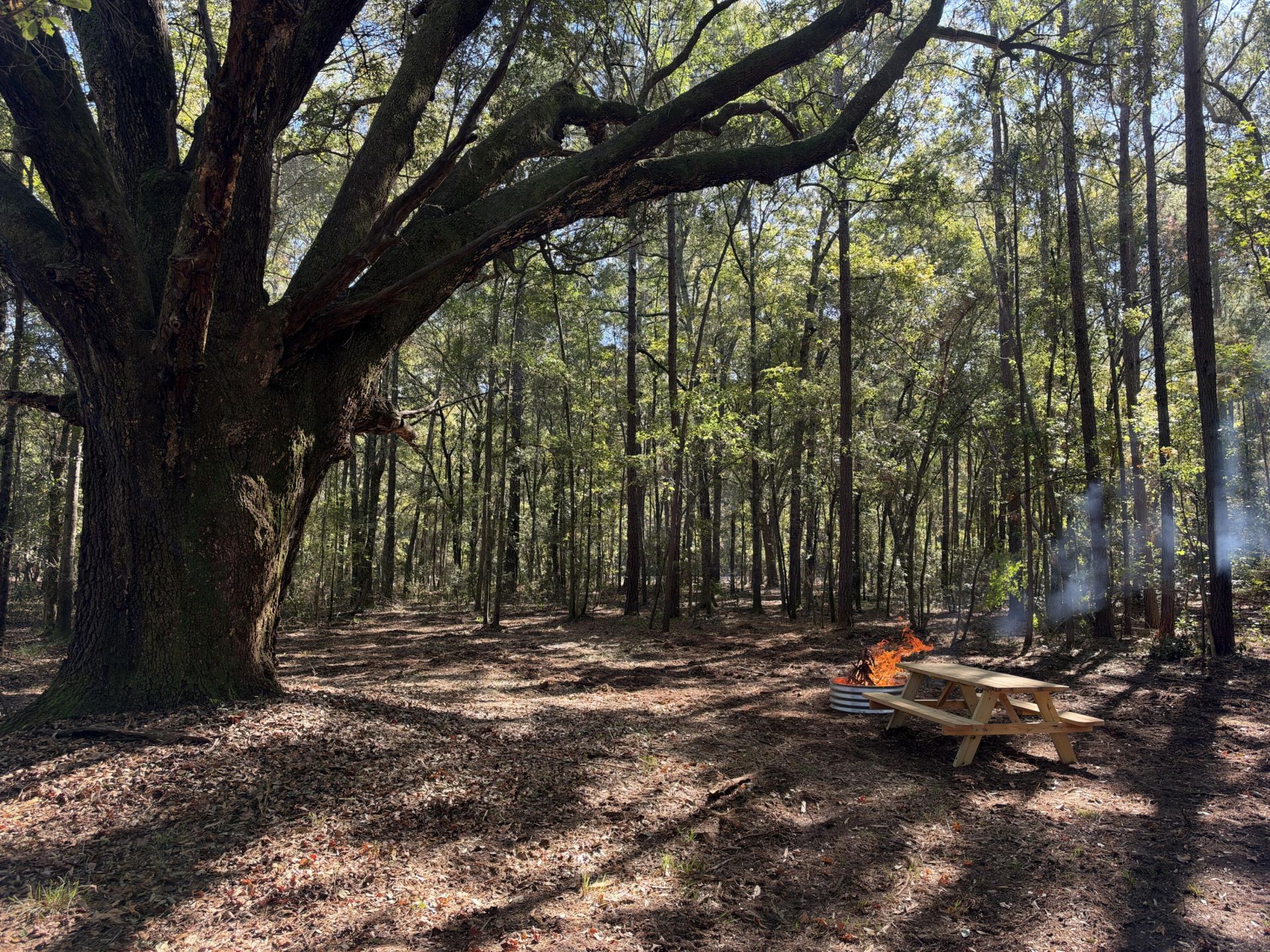 1255 Thirty Five Mile Road Photo 4