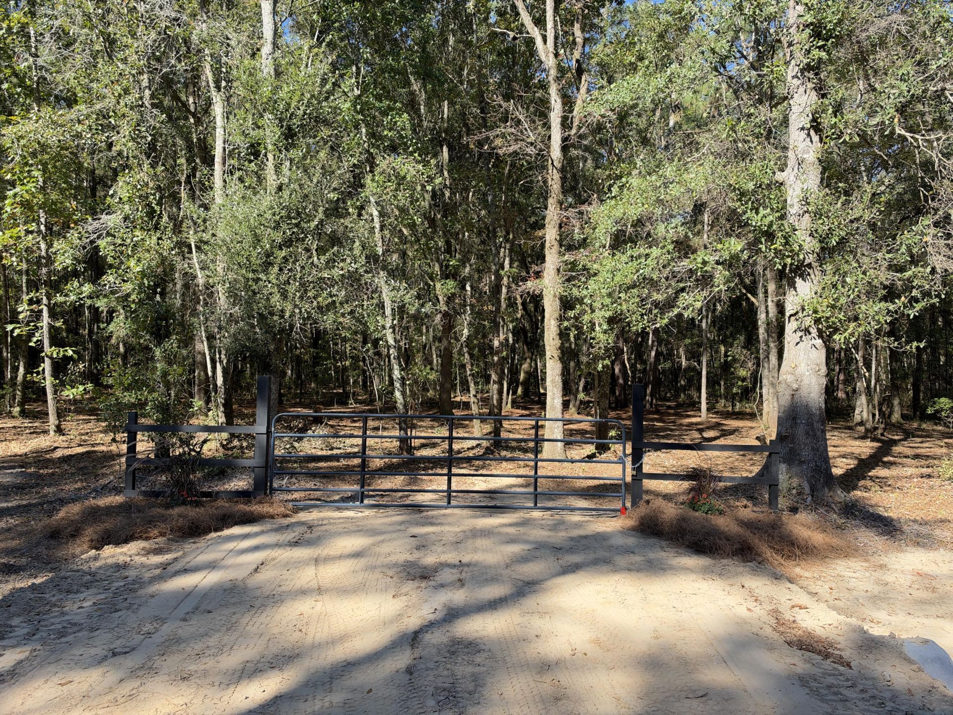 1255 Thirty Five Mile Road Photo 6
