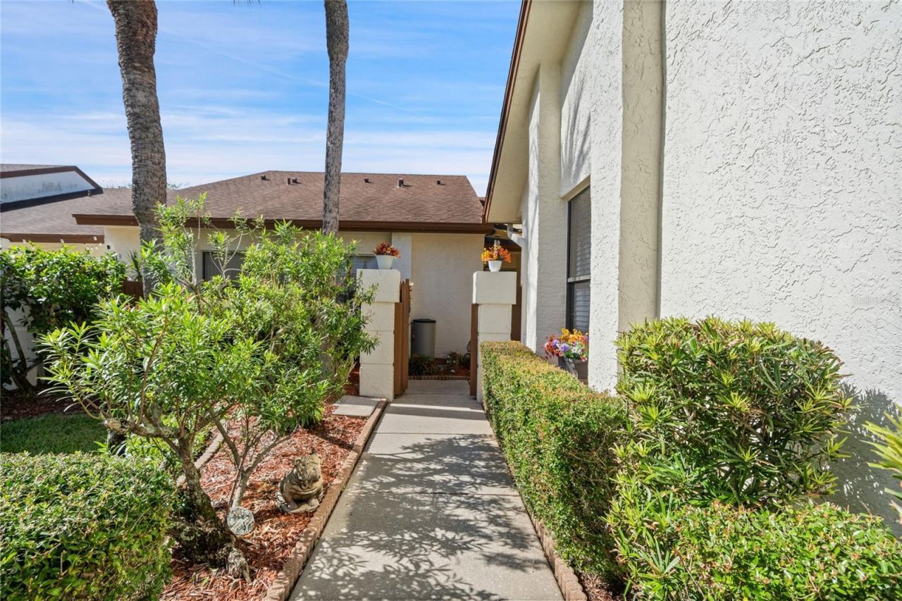 14796 Feather Cove Road, Clearwater, FL 33762 Photo