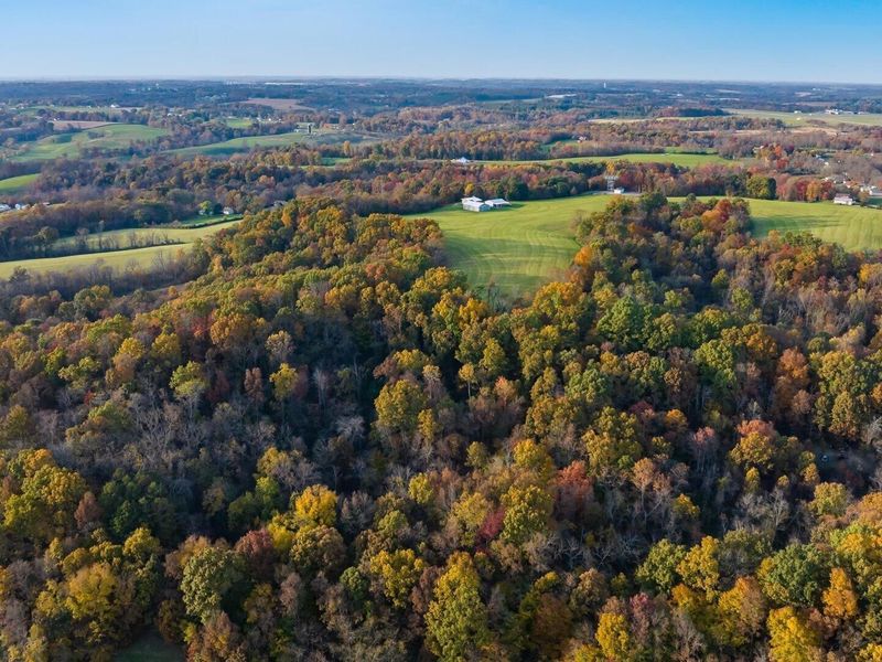 2250 Three Towers Road, Chandlersville, OH 43727 Photo 29