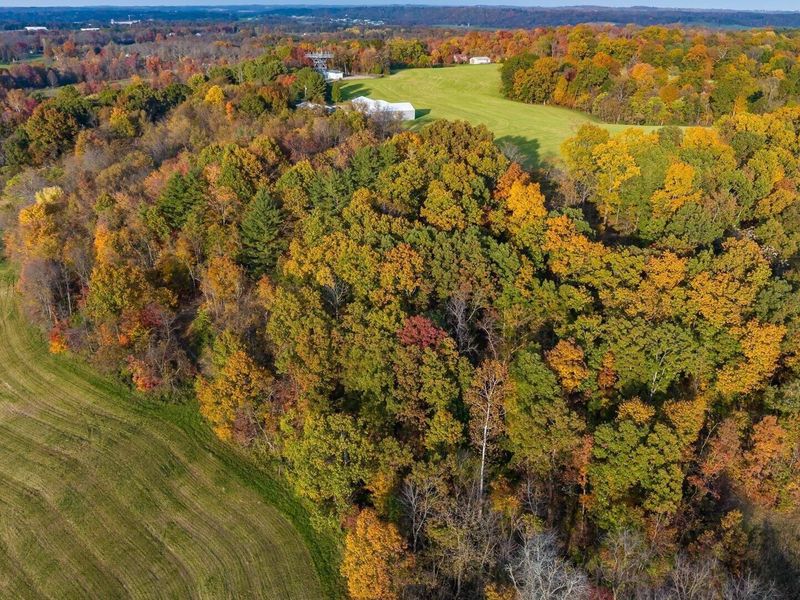 2250 Three Towers Road, Chandlersville, OH 43727 Photo 40