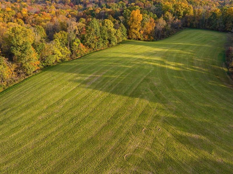2250 Three Towers Road, Chandlersville, OH 43727 Photo 43