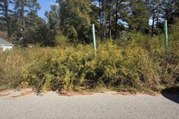 4347 Surfwood Drive  photo 4