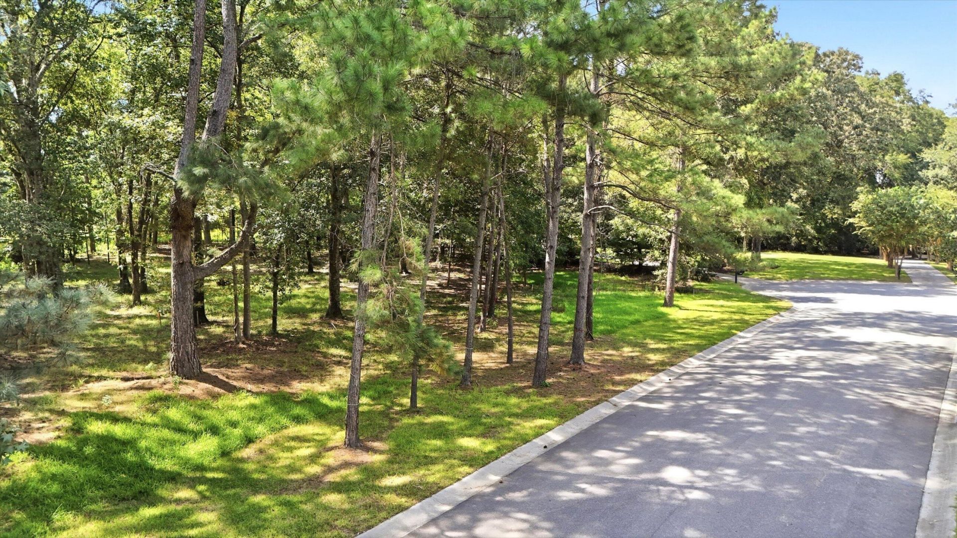 5257 Timber Race Course Photo 11