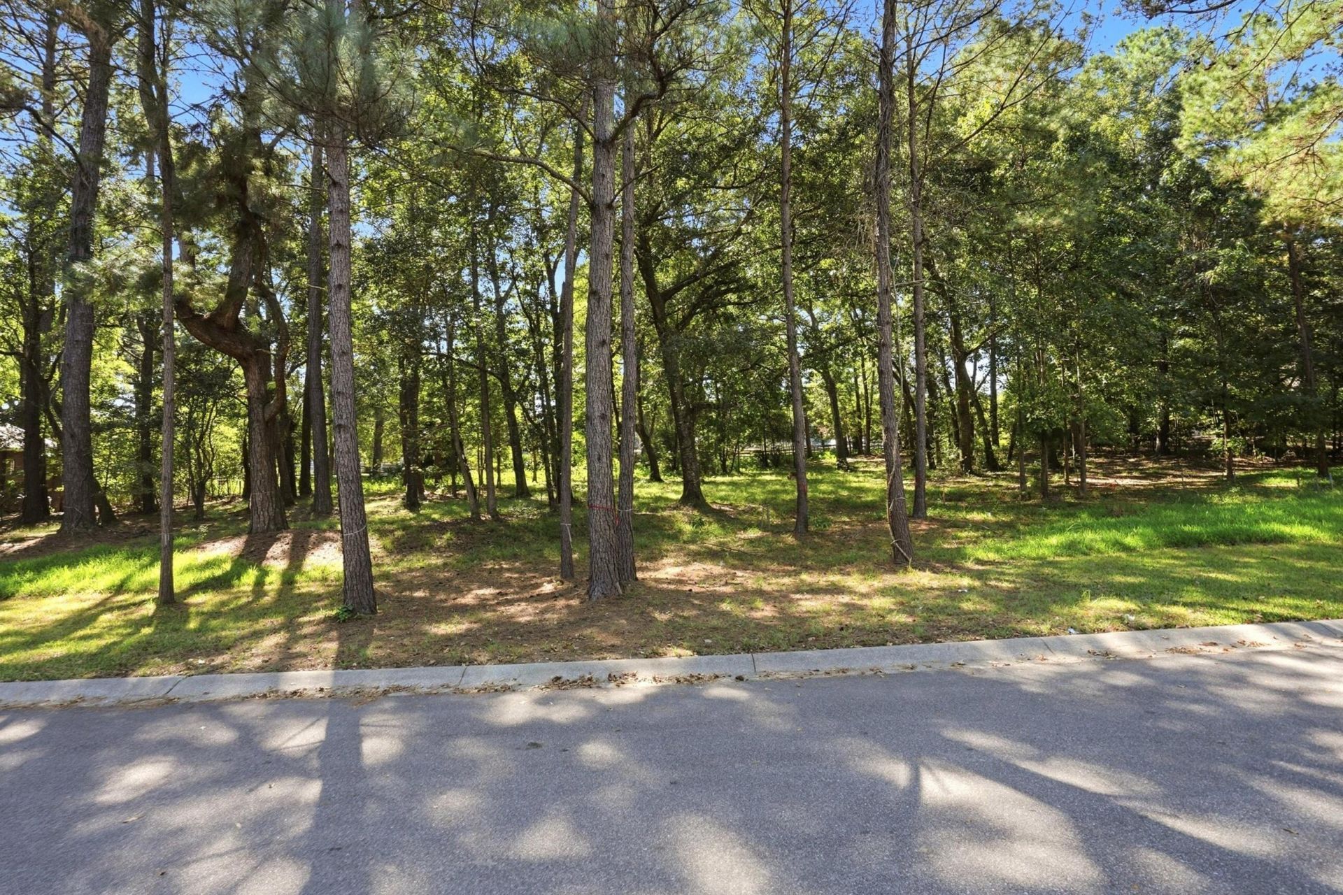 5257 Timber Race Course Photo 12