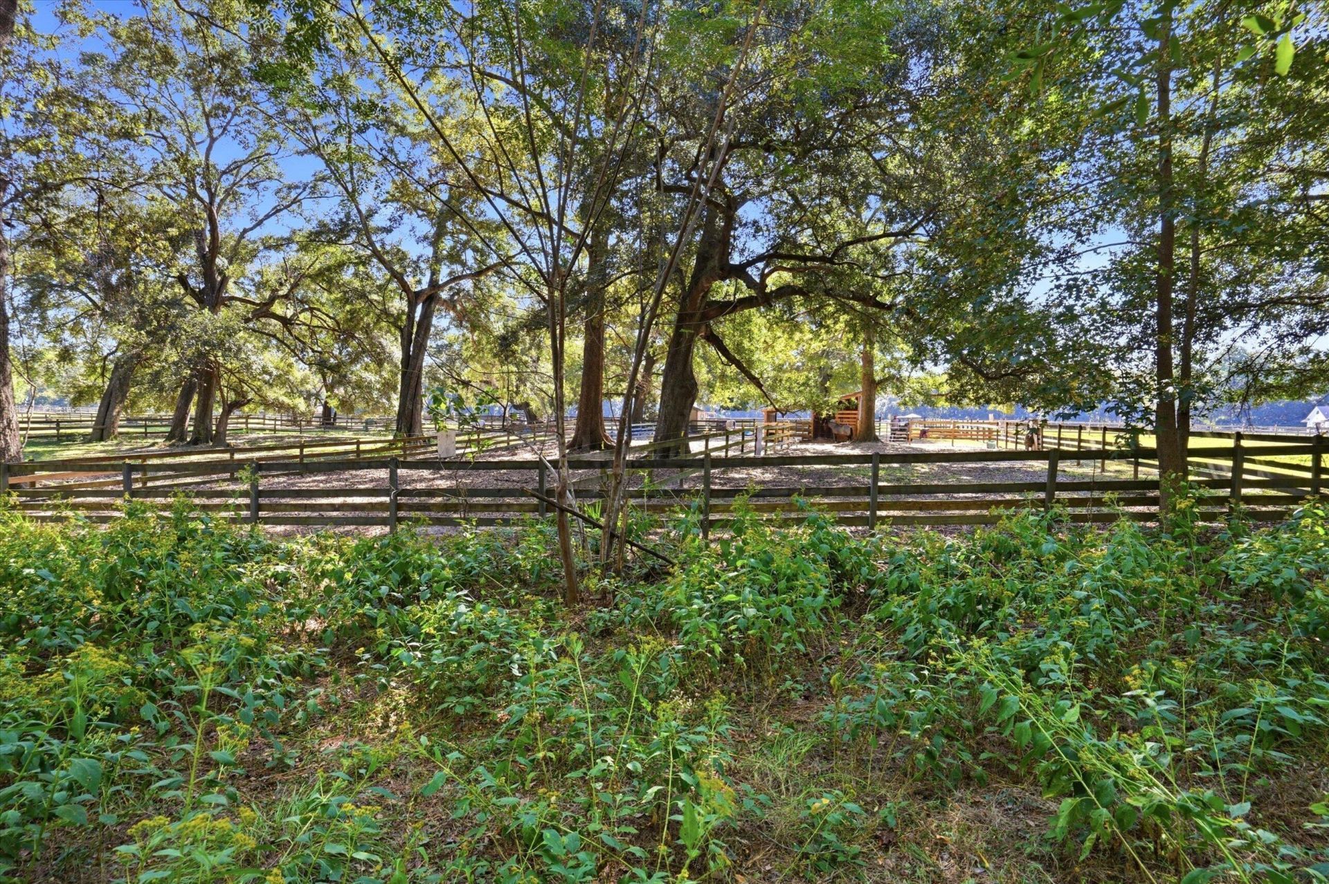 5257 Timber Race Course Photo 16