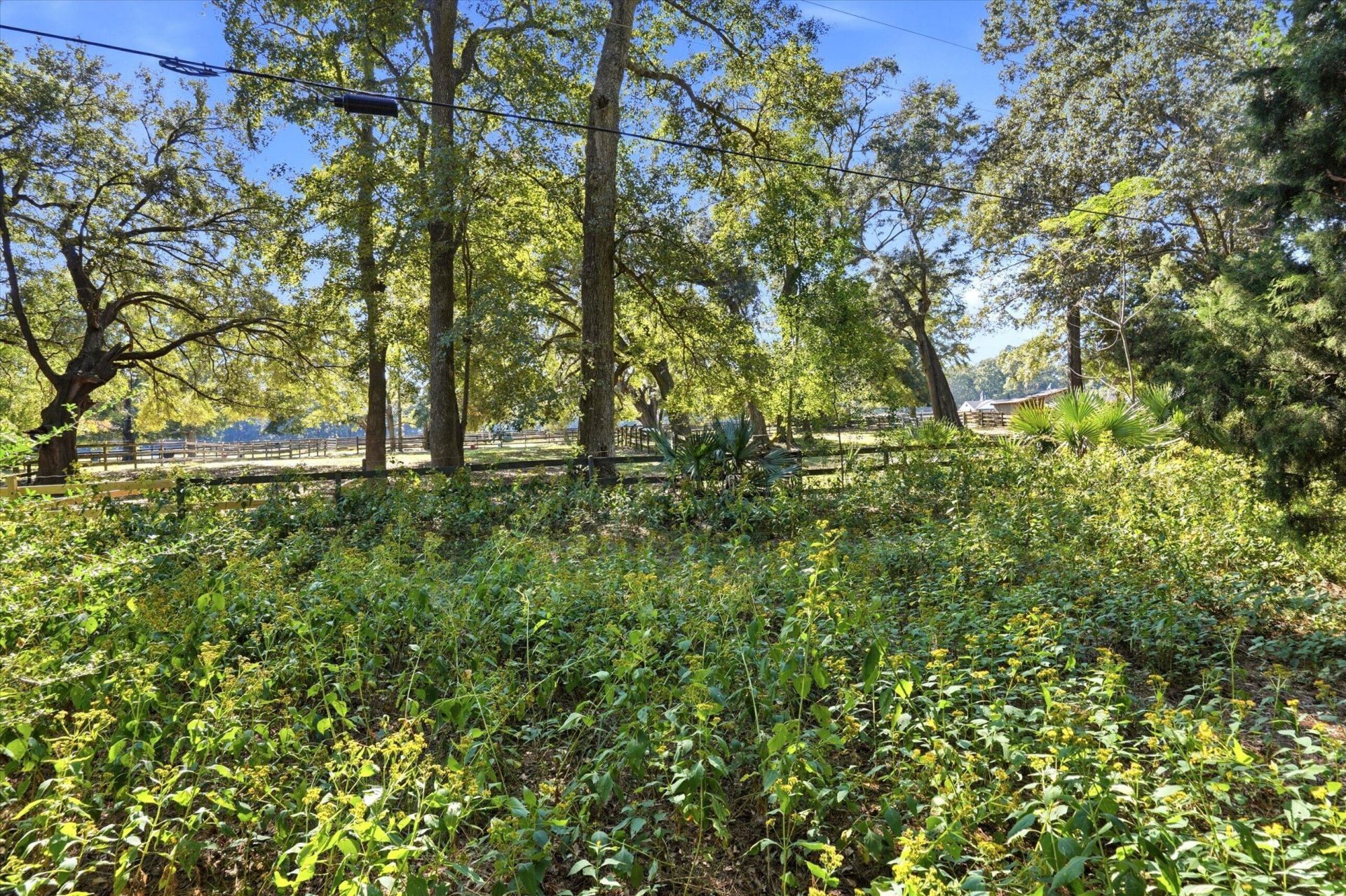 5257 Timber Race Course Photo 17