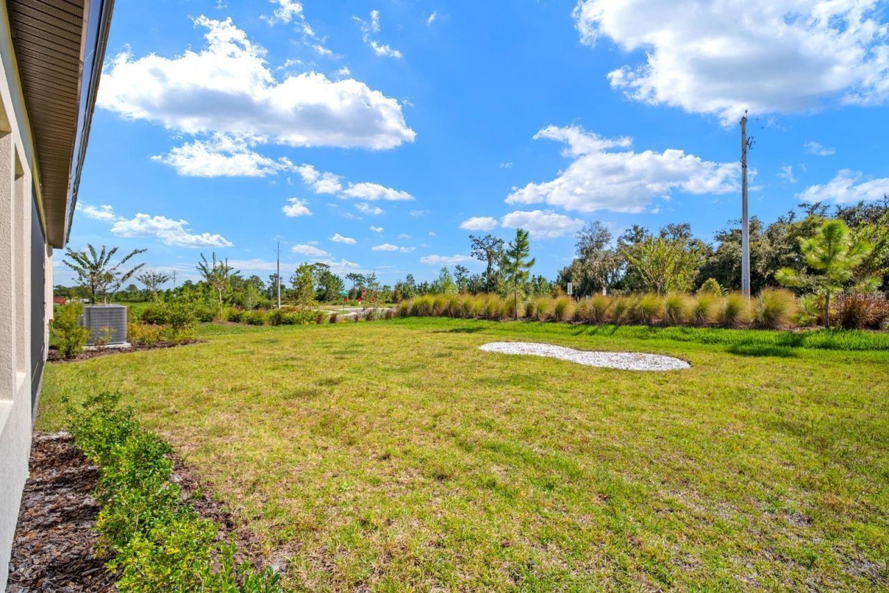 13407 Buffalo Mountain Avenue , Riverview, FL 33579 Photo