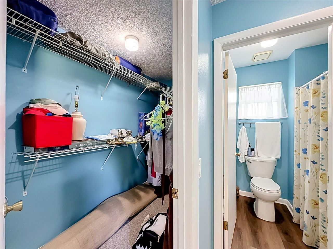 1038 Scotch Pine Court , Leesburg, FL 34788 Photo