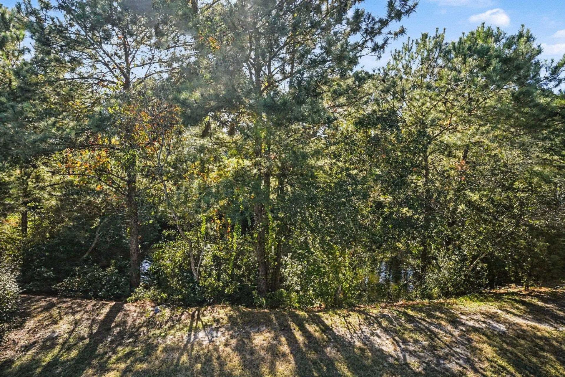875 Palmetto Trail  Photo 27