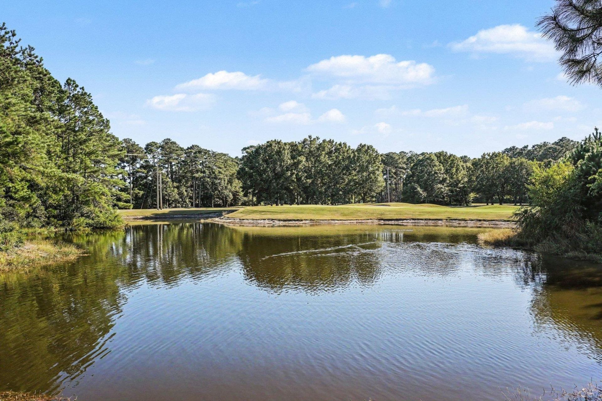 875 Palmetto Trail  Photo 31