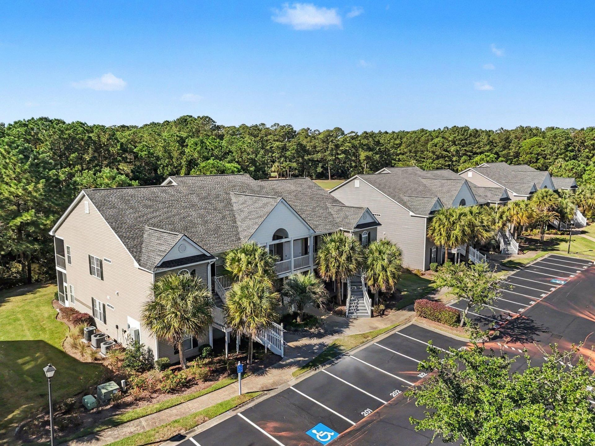 875 Palmetto Trail  Photo 36