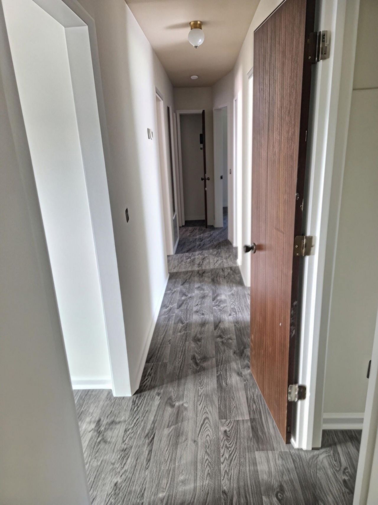 203 Eagle Drive Photo 9