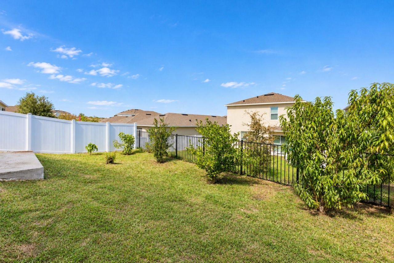 30430 Pintail Drive, Leesburg, FL 34748 Photo