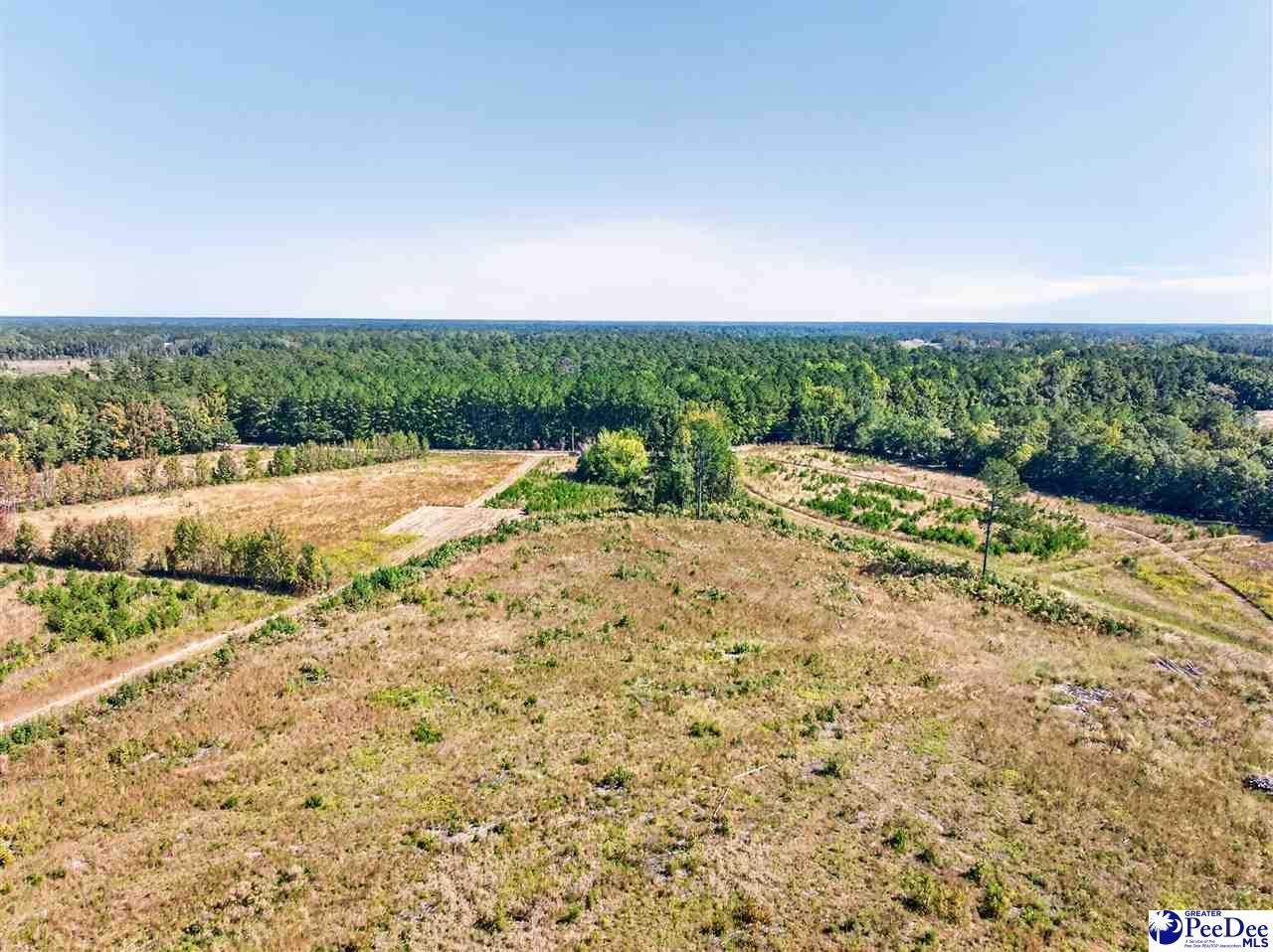 0000 Fowler Rd Lot 2 Photo 10