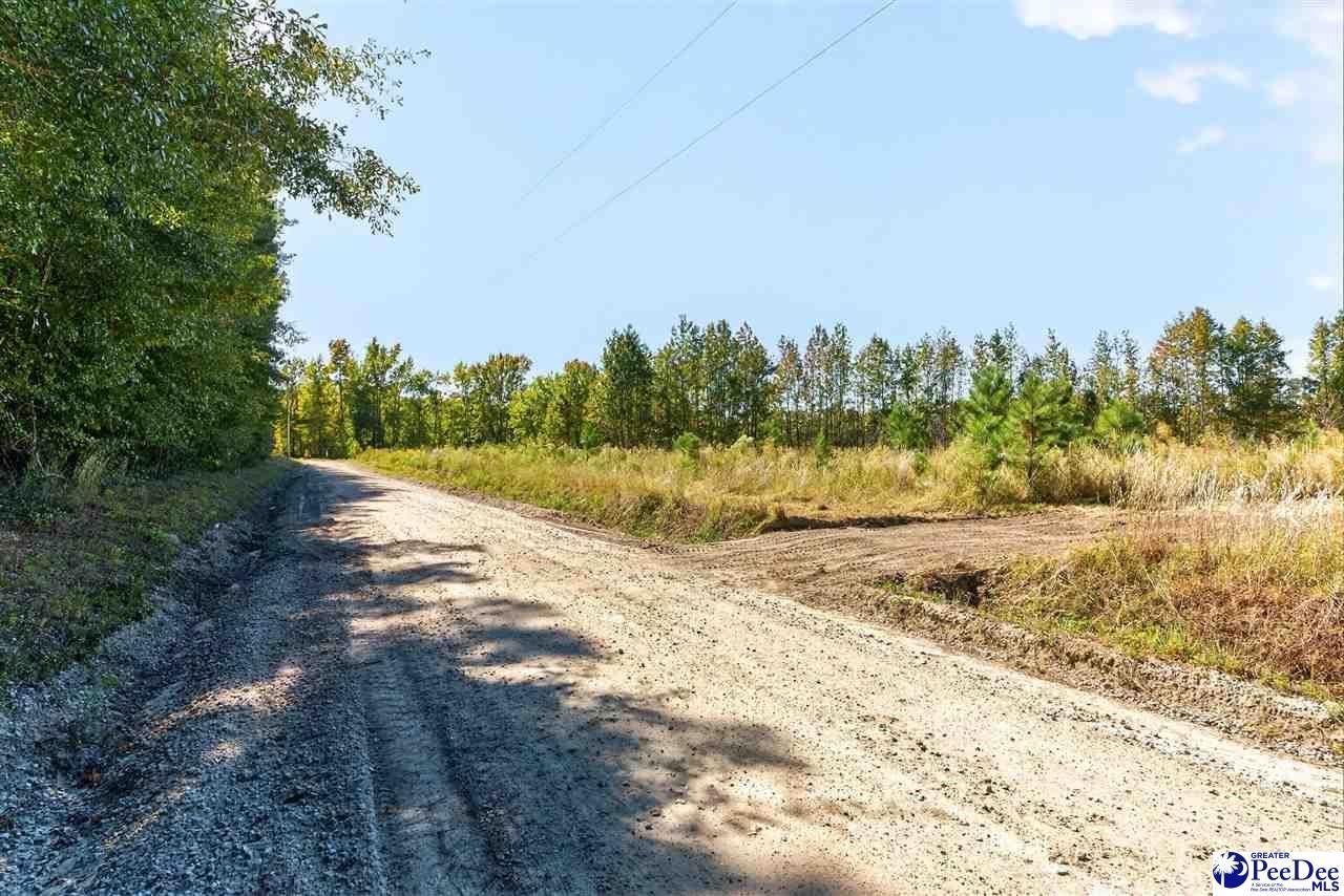 0000 Fowler Rd Lot 2 Photo 17