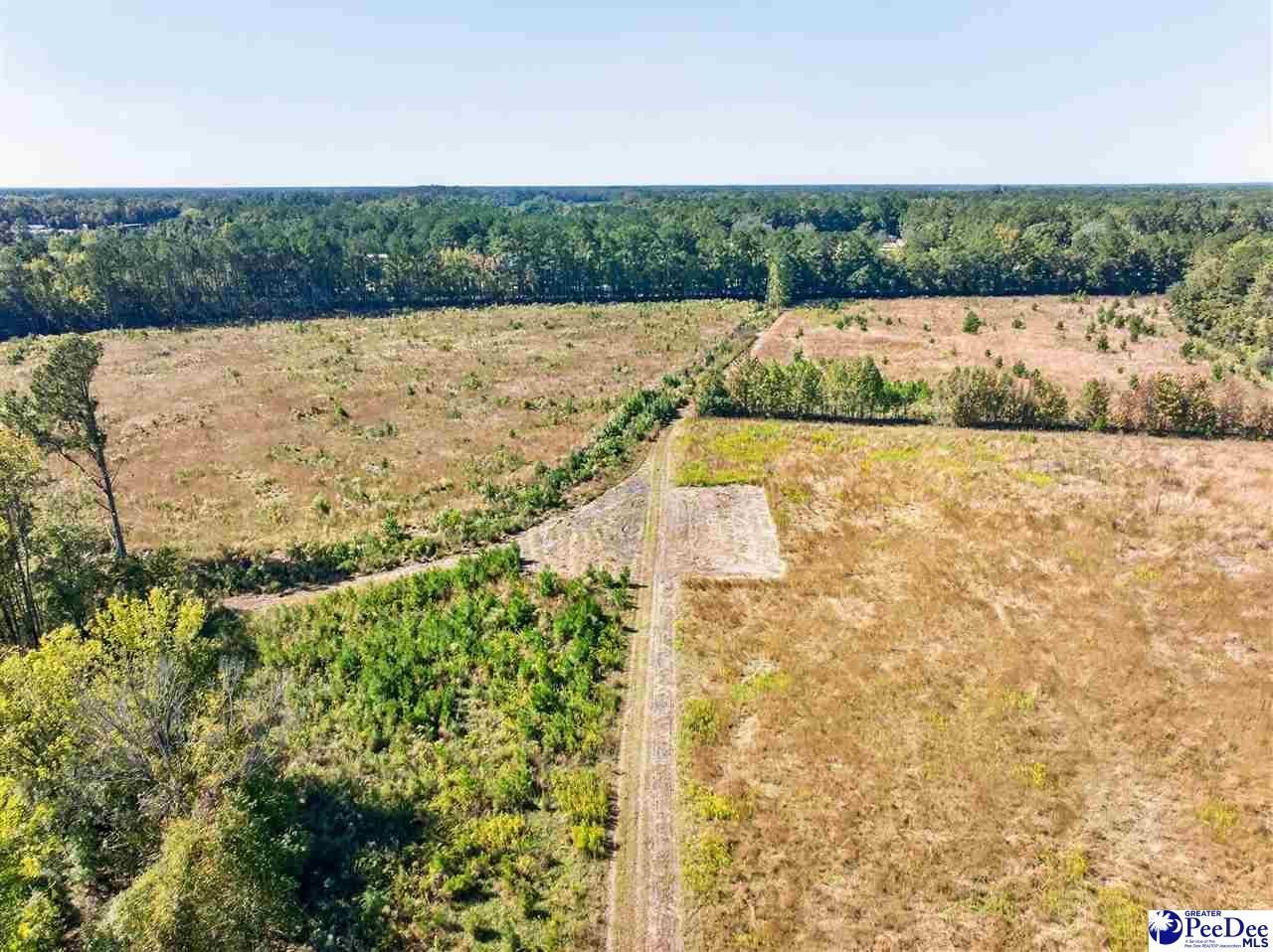 0000 Fowler Rd Lot 2 Photo 18