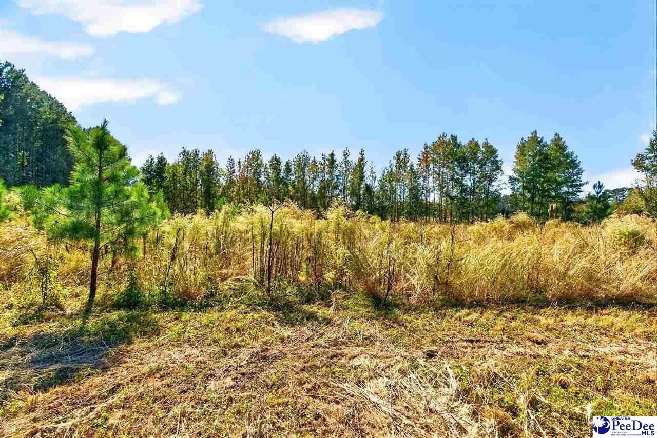 0000 Fowler Rd Lot 2 Photo 20