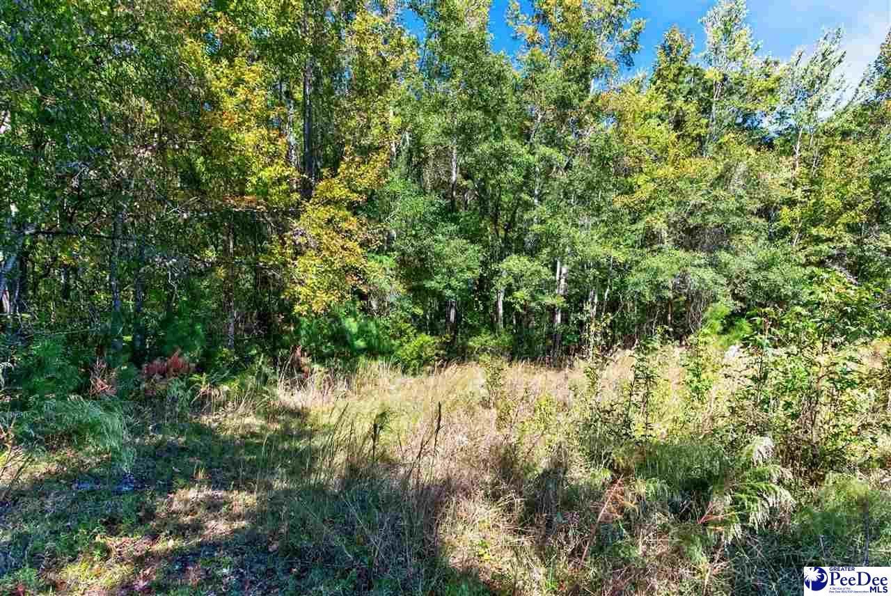 0000 Fowler Rd Lot 2 Photo 22