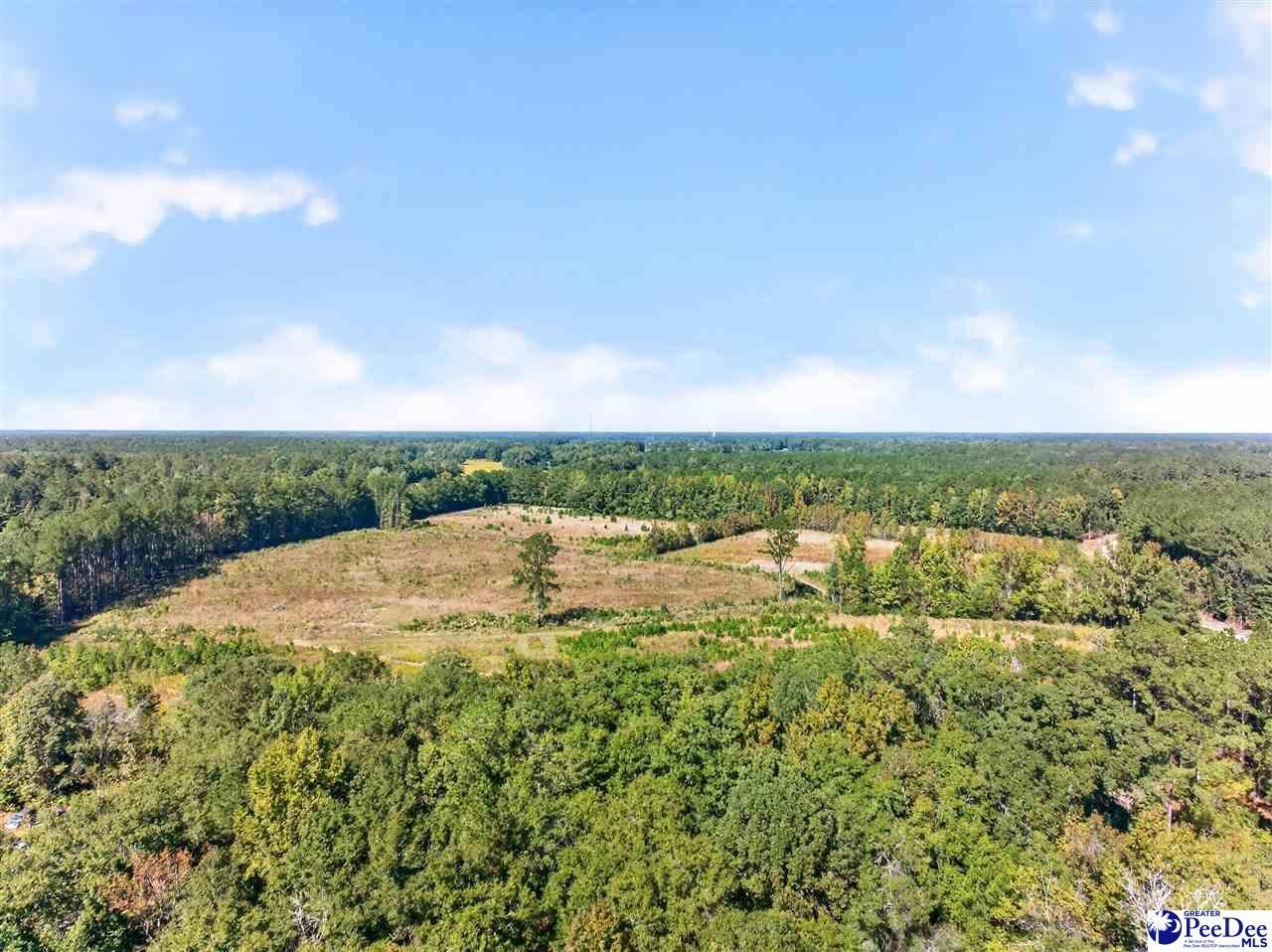 0000 Fowler Rd Lot 2 Photo 24