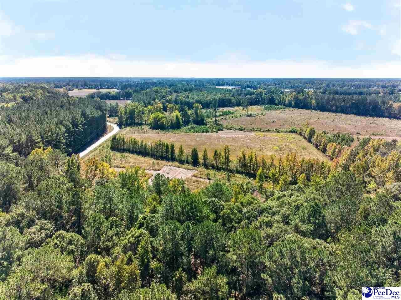 0000 Fowler Rd Lot 2 Photo 26