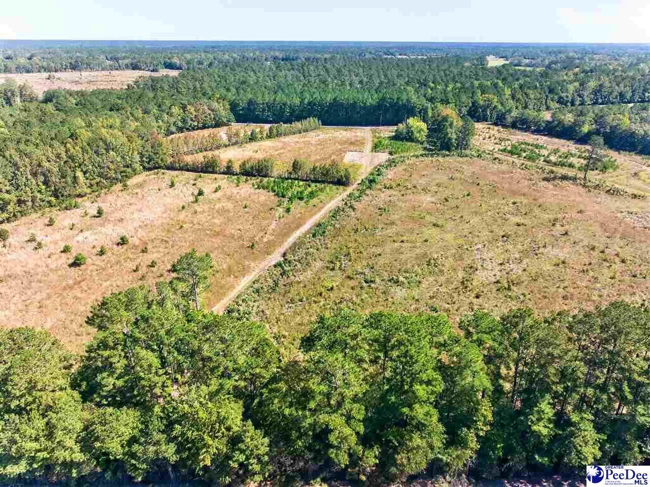 0000 Fowler Rd Lot 2 Photo 27