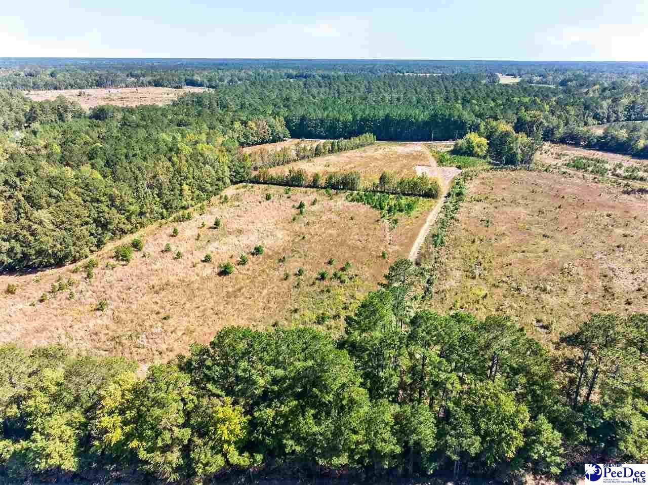 0000 Fowler Rd Lot 2 Photo 28