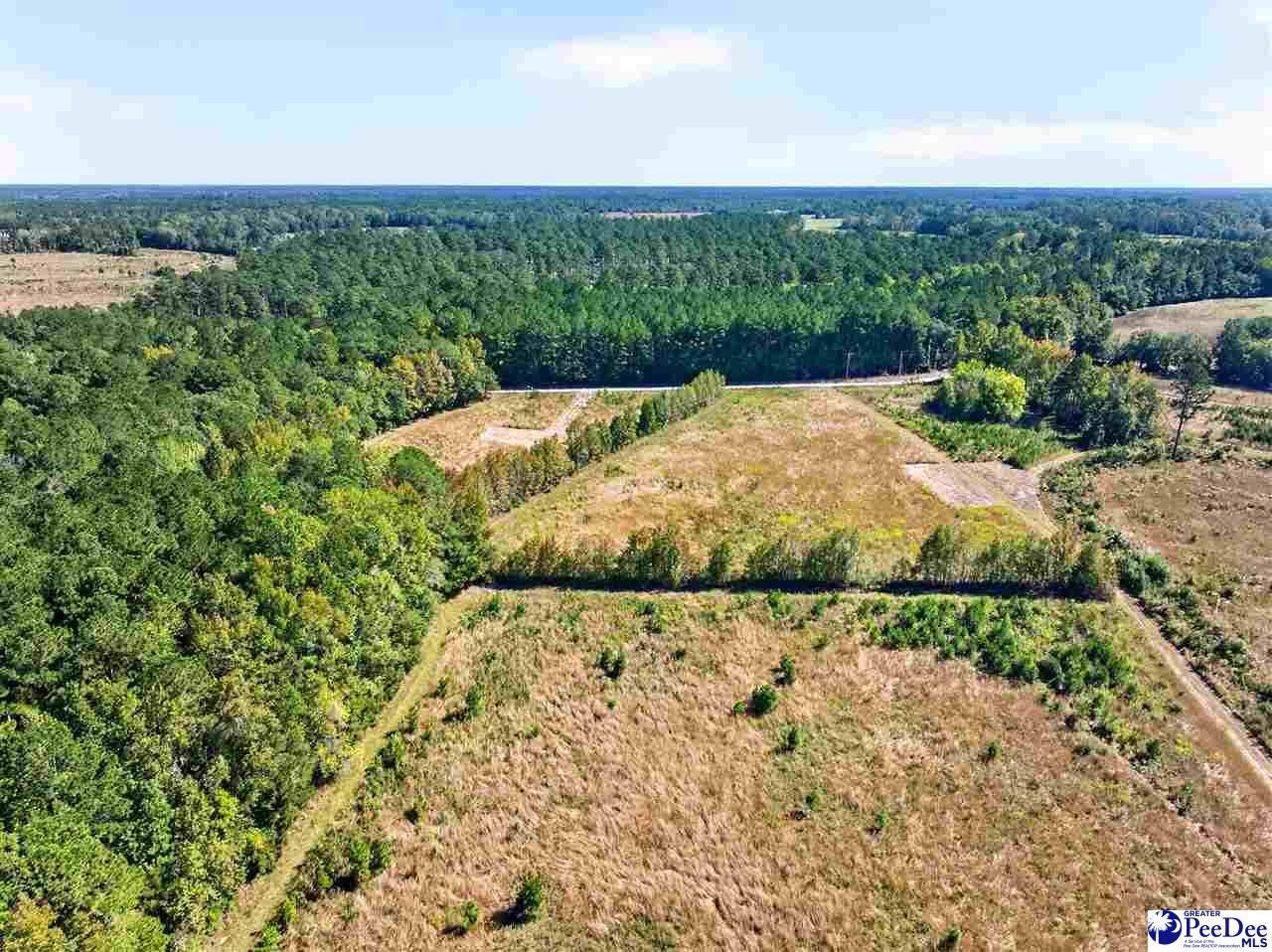 0000 Fowler Rd Lot 2 Photo 29