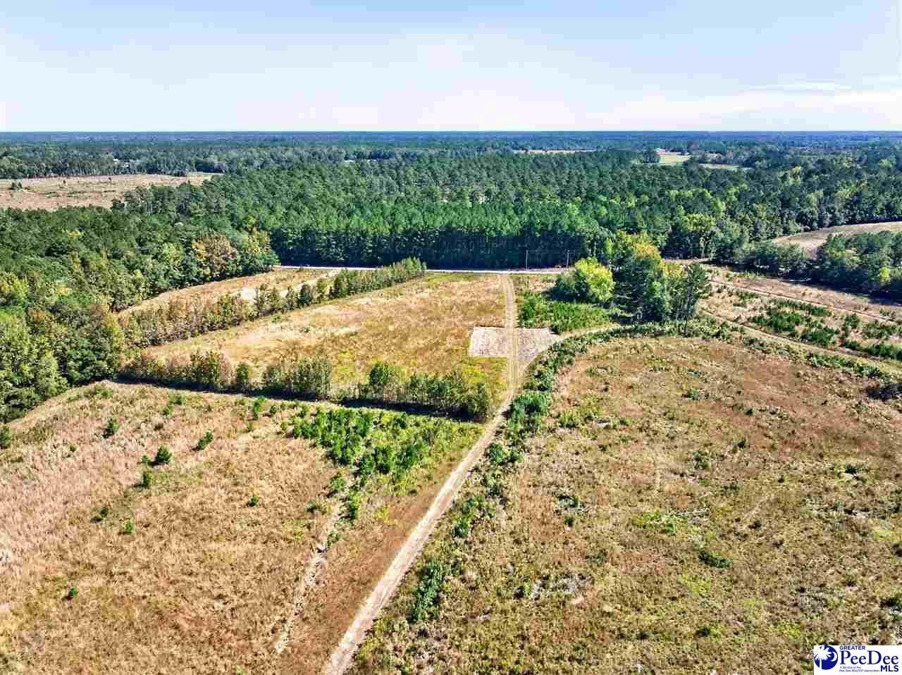 0000 Fowler Rd Lot 2 Photo 30