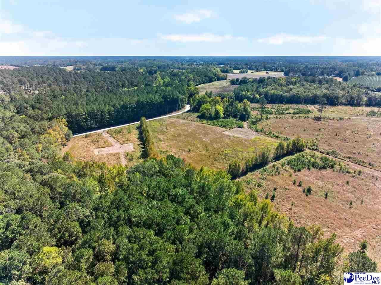 0000 Fowler Rd Lot 2 Photo 31